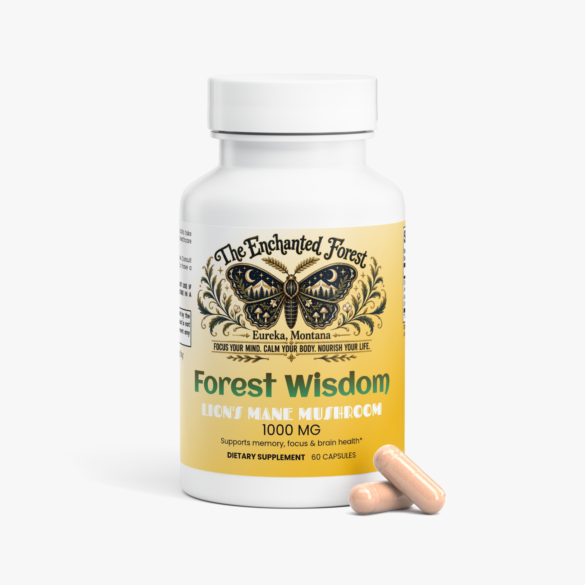 Forest Wisdom