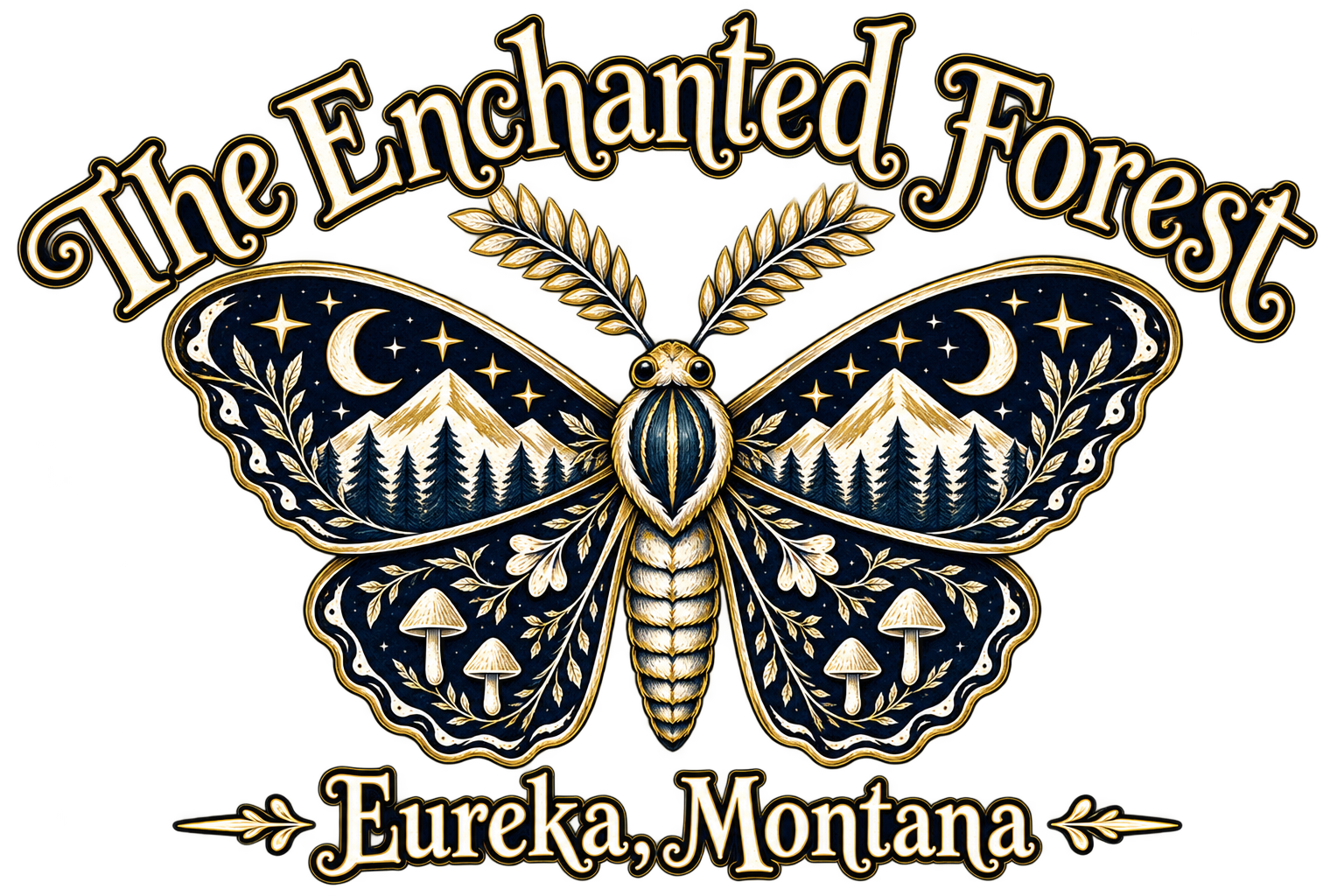 The Enchanted Forest