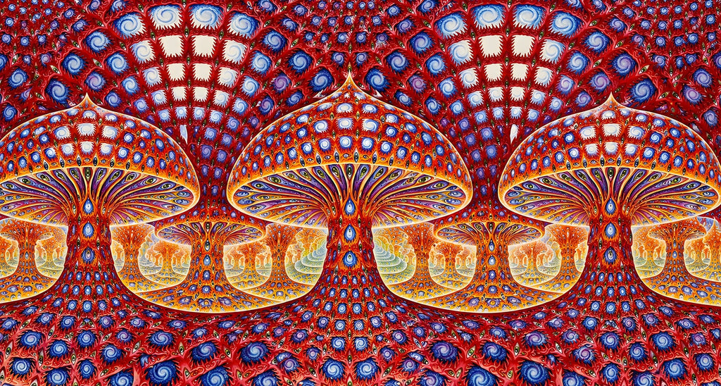 crimson fractal canvas artwork